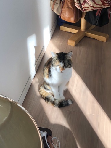 E44C114E-8524-45BF-A2D9-069D41977DAA