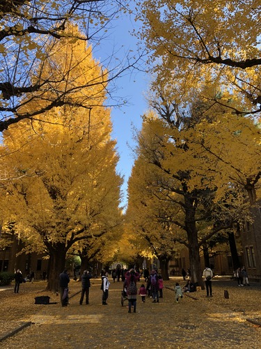 22480E74-50C8-40B1-B304-776AE726E451