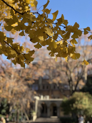 6EC0F784-B5A5-4E8A-8BD0-E53DE6C38F7D