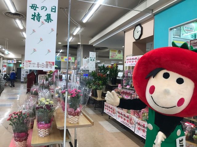 ピアゴ多治見店と勝幡店に行ってきました ッ ピアッキ 日記