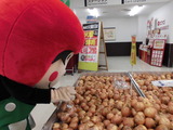 P布袋店 (9)