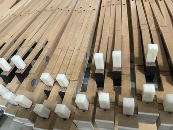 IMG_1677