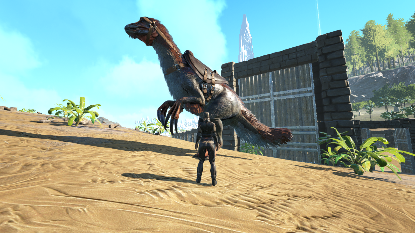 Ark ローカル 2 拠点の整備とテリィ 気紛れに Ark ローカル 2 拠点の整備とテリィ 気紛れに