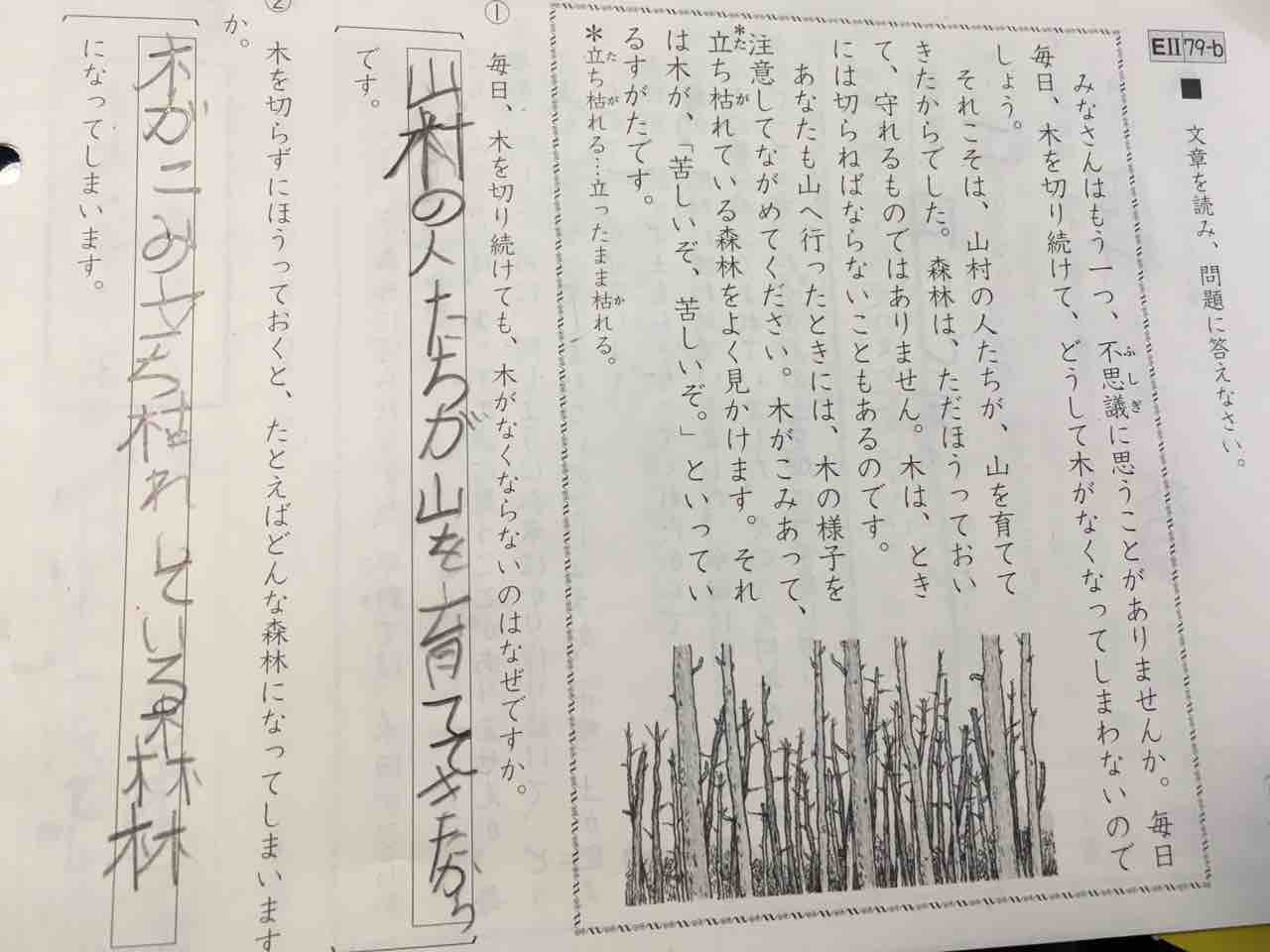 小学2年生 くもん 国語e を頑張る ズボラママのマイペース早期教育日記 小学2年生 くもん 国語e を頑張る ズボラママのマイペース早期教育日記