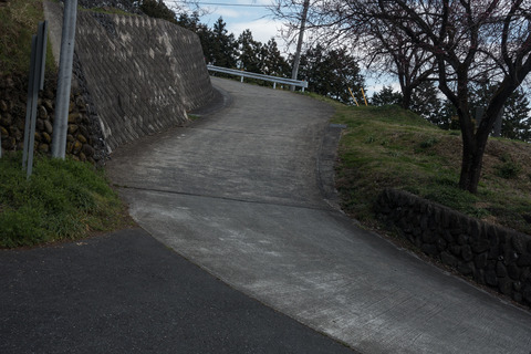 DSC03096