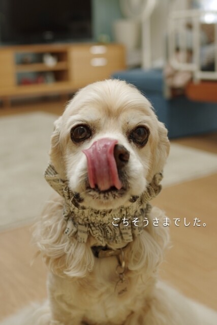 IMGP6367
