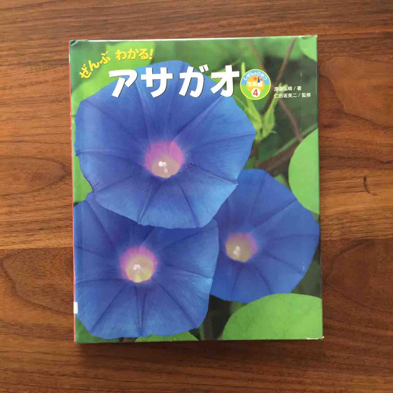 びっくり 不思議がいっぱい ぜんぶわかる アサガオ 理系夫婦の絵本図書室