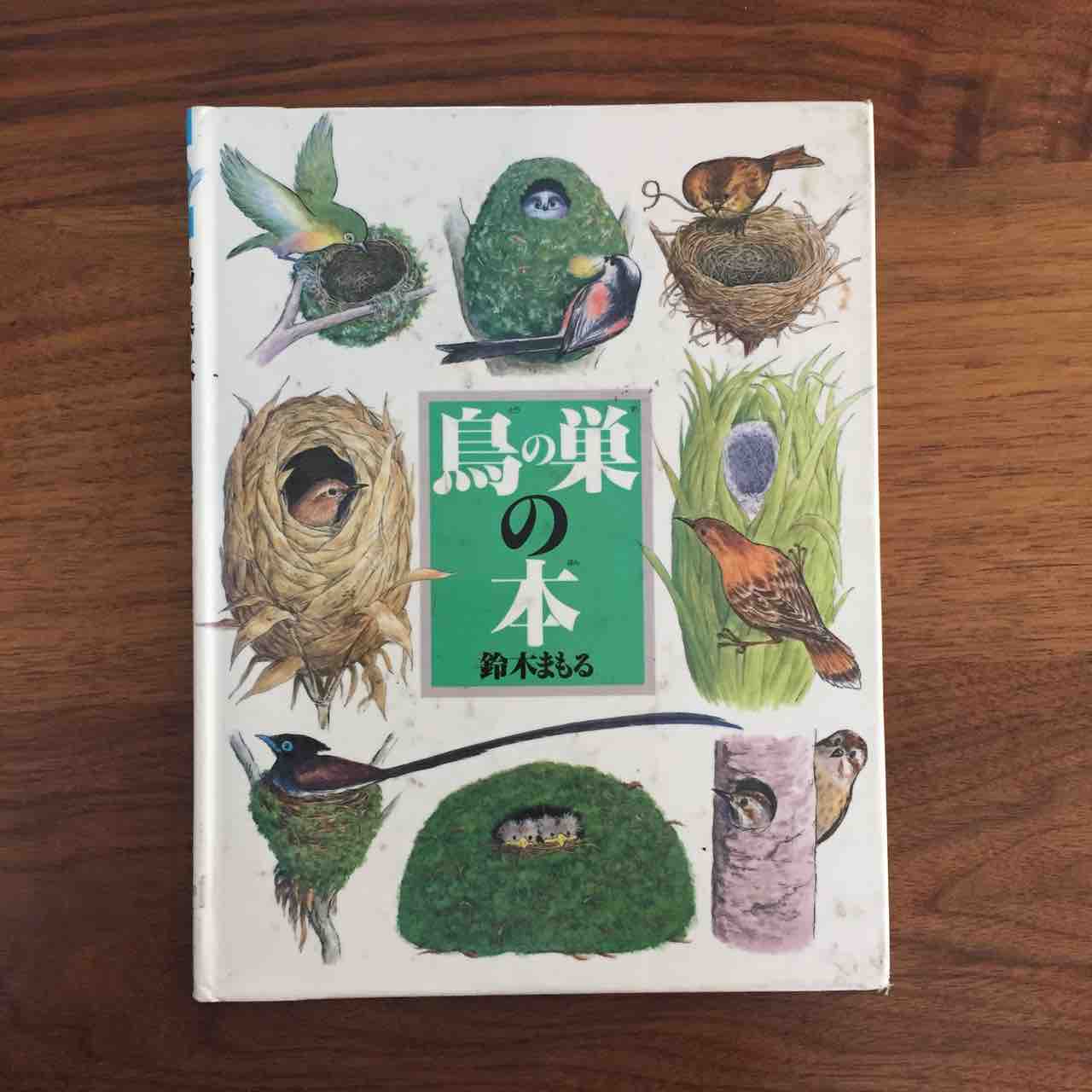 鳥たちの工夫に驚く一冊 鳥の巣の本 理系夫婦の絵本図書室 鳥たちの工夫に驚く一冊 鳥の巣の本 理系夫婦の絵本図書室