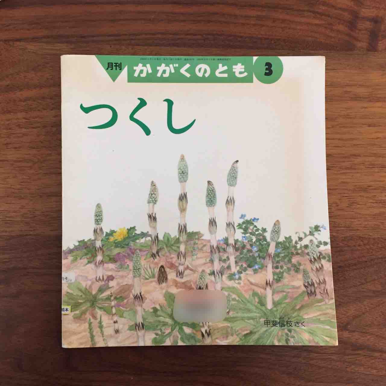 つくしだれのこ すぎなのこ つくし 理系夫婦の絵本図書室