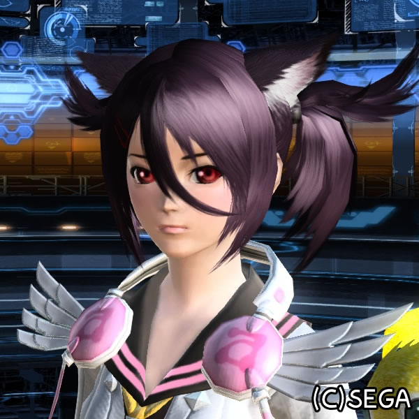 Pso2 再誕 晴れときどきひまわり