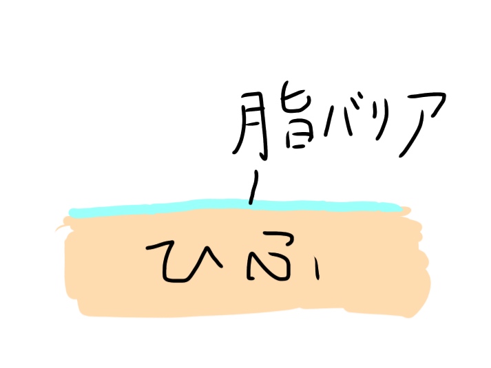 お湯だけで髪や体を洗う 湯シャン を約2年続けた感想 パズビレッジ