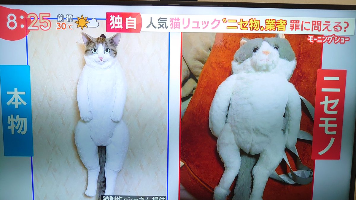 ラジオ U字工事 益子 詐欺にあった 猫型リュック購入するも 調べてみると すげえニュースになってて 爆笑ゴリラ ふかや ちゃんねる 芸スポ速報 ラジオ U字工事 益子 詐欺にあった 猫型リュック購入するも 調べてみると すげえニュースになってて 爆笑ゴリラ ふかや ちゃんねる 芸スポ速報