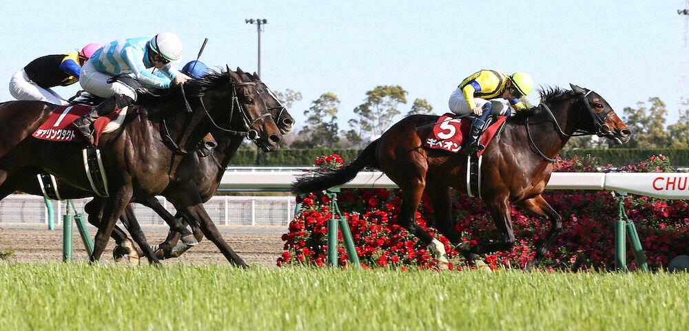 ちゃんねる 競馬 5