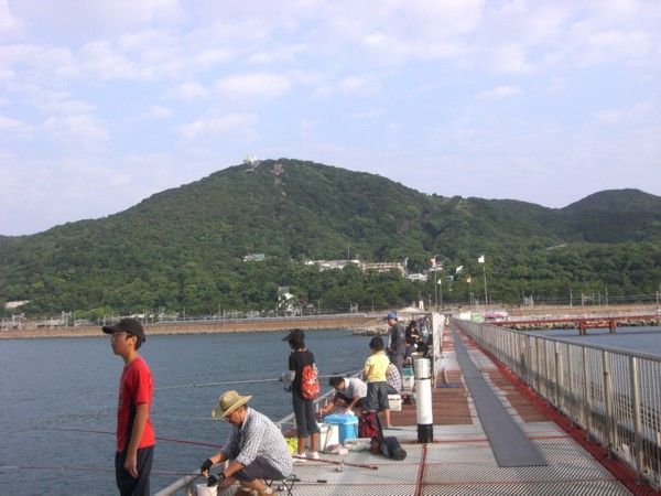 須磨 海釣り公園 馬馬虎虎 須磨 海釣り公園 馬馬虎虎