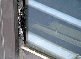 ハートジェルの変わった使い方 ハト対策 ハト飛来防止用忌避剤ハートジェル 施工例 ハートジェルの変わった使い方 ハト対策 ハト飛来防止用忌避剤ハートジェル 施工例
