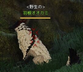 にく にくほしい 採集と狩猟どっちが良い 前編 やっぱりウィッチな黒い砂漠 りぼーん