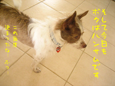 ������ϥ󥵥�