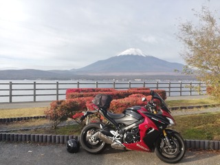 IMG_20191103_072631