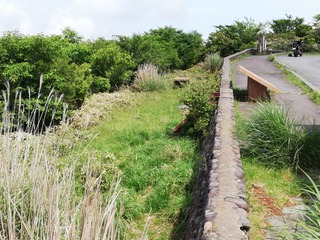 IMG_20190601_092942