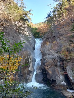 IMG20201115090928