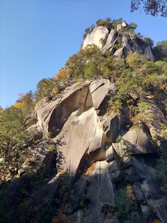 IMG20201115090511
