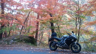 昇仙峡紅葉バイク
