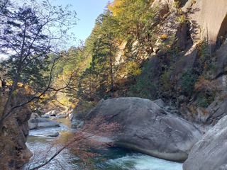 IMG20201115090518