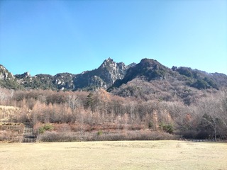 IMG20201115110309