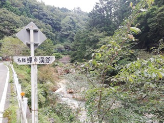 IMG_20200921_081357