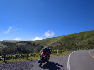 DSC_0440