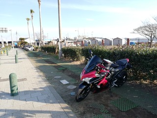 IMG_20190224_081017
