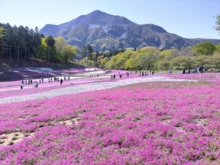 IMG20210418085952