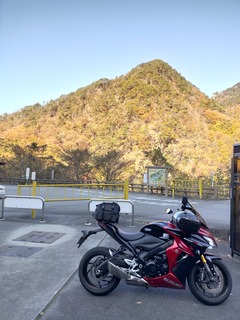 IMG20201115084544