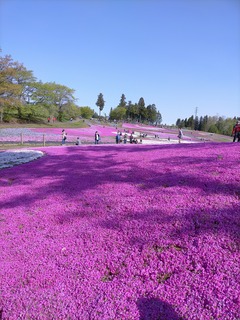 IMG20210418085325