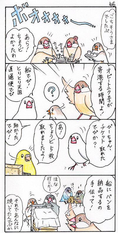 セキセイインコ 白文鳥p田ピイの日記 T セキセイインコ 白文鳥p田ピイの日記 T