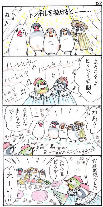 セキセイインコ 白文鳥p田ピイの日記 T