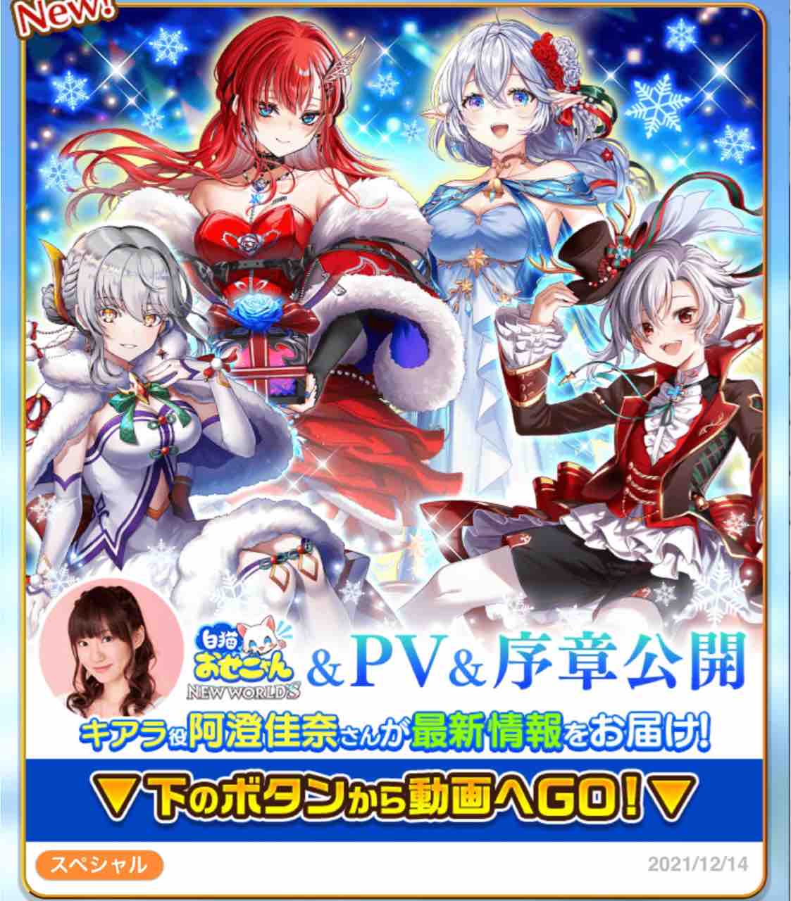目細めてめっちゃ見た ぴかちゅうのまいにち白猫blog