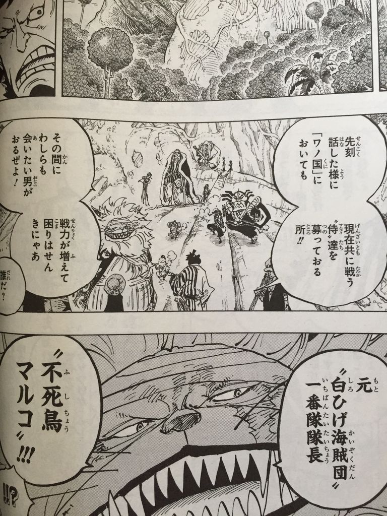ワンピース82巻 : ピカえもんの遊戯王blog