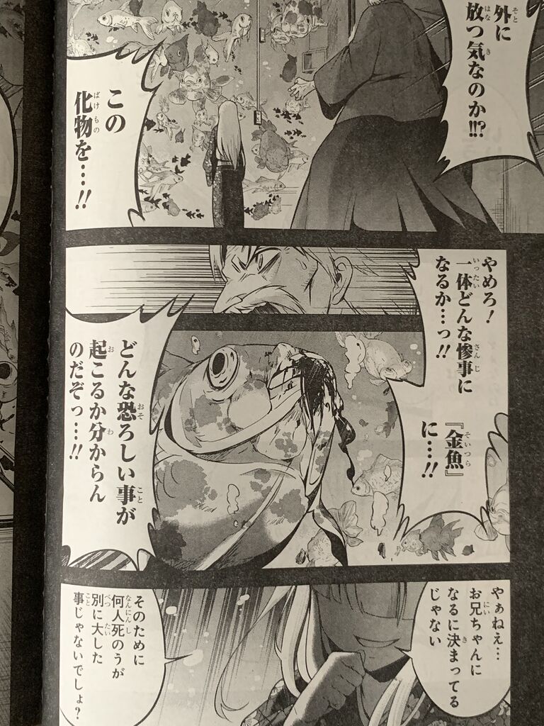 渋谷金魚第38話 ピカえもんの遊戯王blog 渋谷金魚第38話 ピカえもんの遊戯王blog