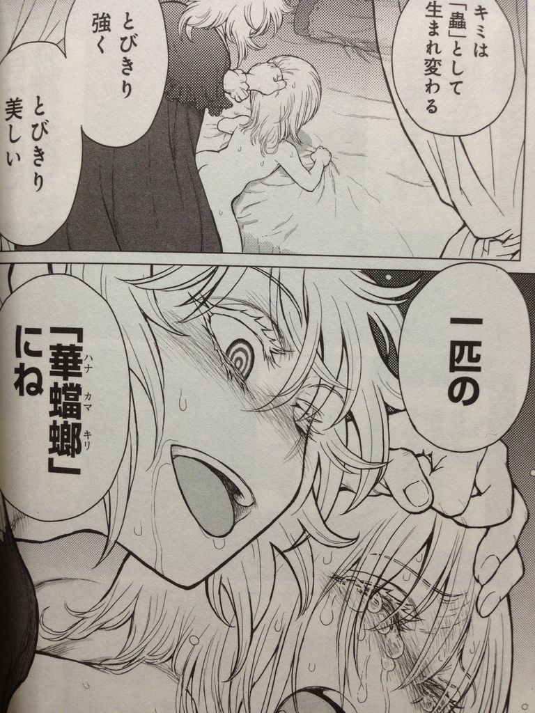 アラクニド ピカえもんの遊戯王blog