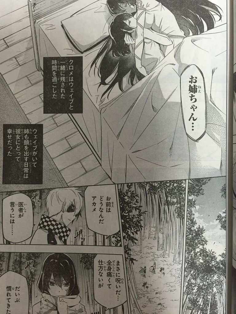 最終話 アカメが斬るその2 ピカえもんの遊戯王blog