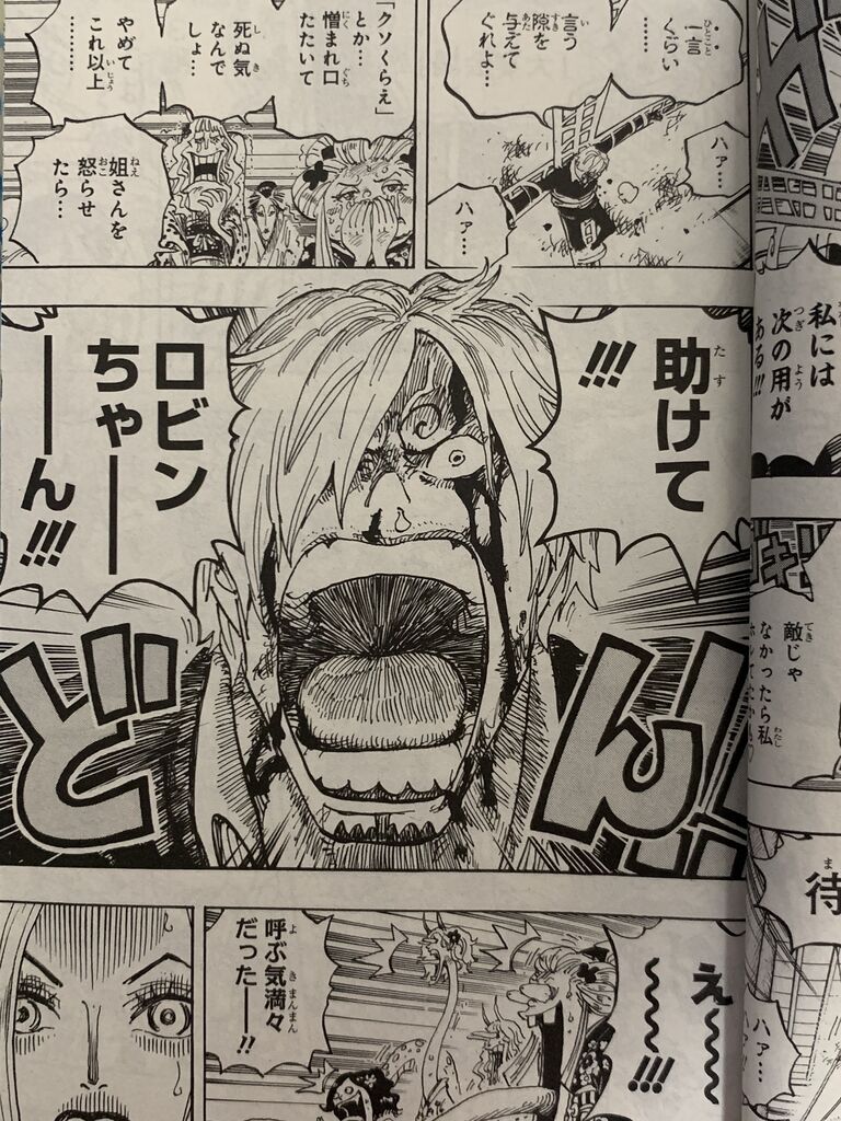 ワンピース百巻 ピカえもんの遊戯王blog