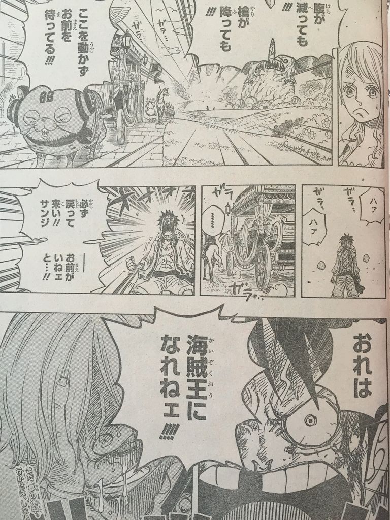 ワンピース巻 ピカえもんの遊戯王blog ワンピース巻 ピカえもんの遊戯王blog