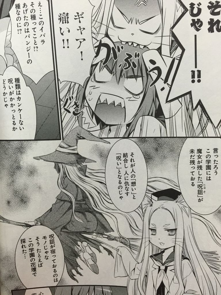 魔法医猫といばら姫 ピカえもんの遊戯王blog 魔法医猫といばら姫 ピカえもんの遊戯王blog