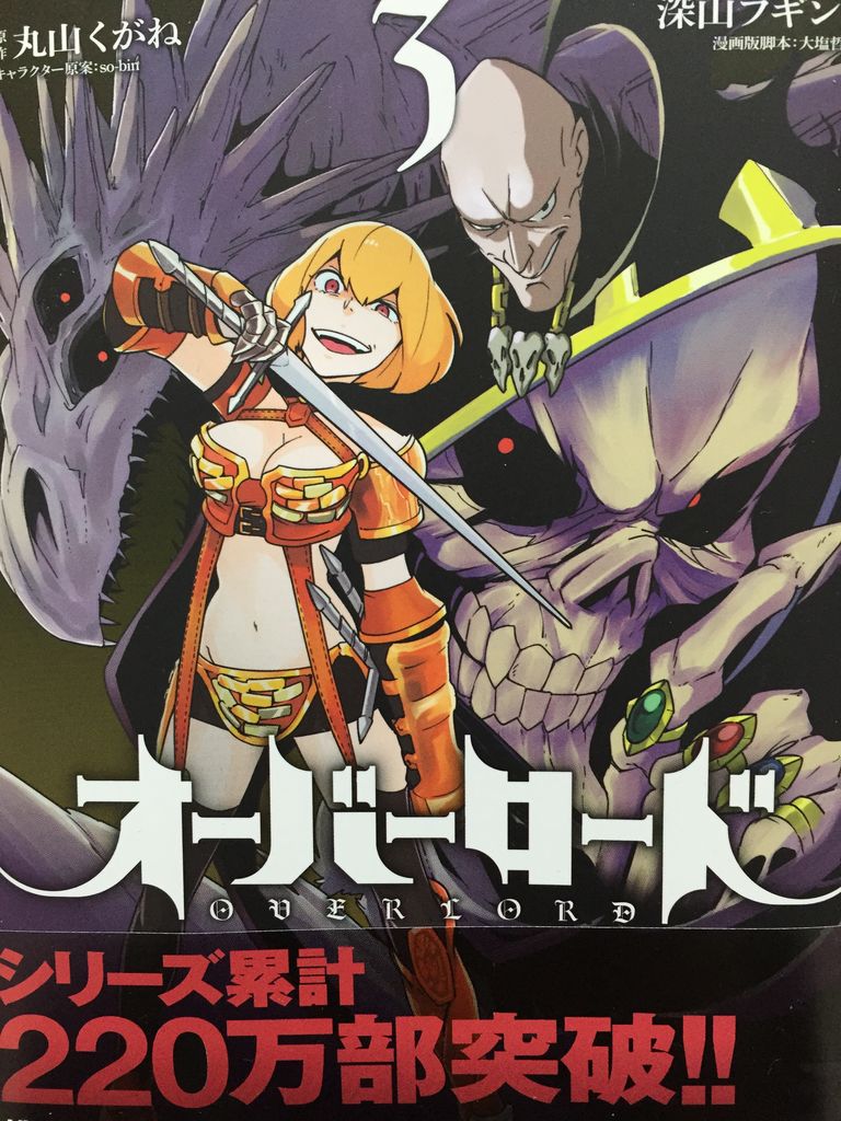 オーバーロード3巻 ピカえもんの遊戯王blog