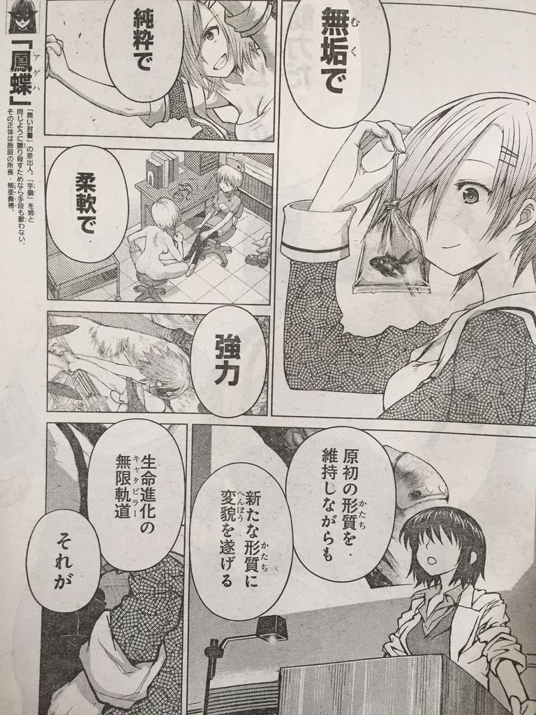 キャタピラー第86話 ピカえもんの遊戯王blog