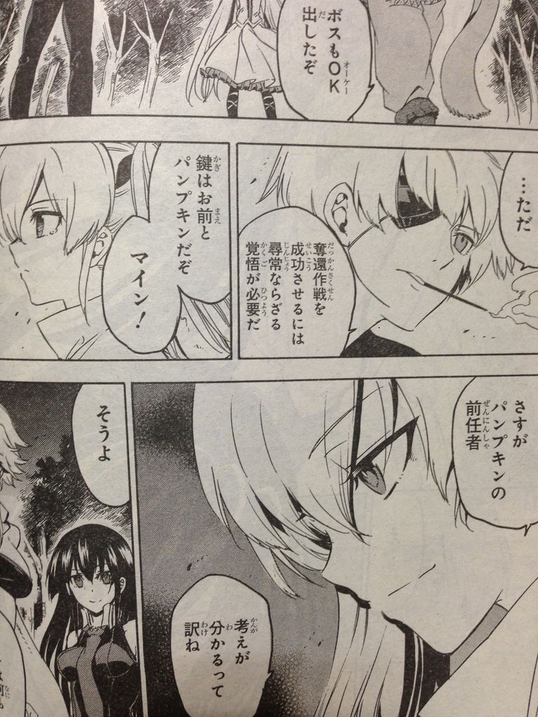 マインの死亡フラグがビンビンなアカメが斬る 最新話 ピカえもんの遊戯王blog