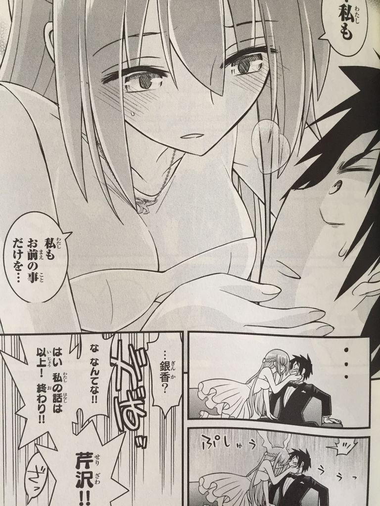 金の彼女銀の彼女10巻 完結 ピカえもんの遊戯王blog 金の彼女銀の彼女10巻 完結 ピカえもんの遊戯王blog