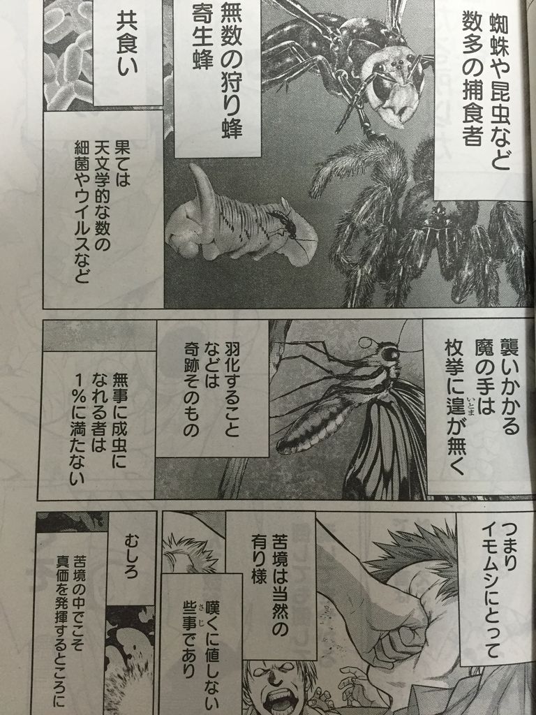 キャタピラー最終話 ピカえもんの遊戯王blog