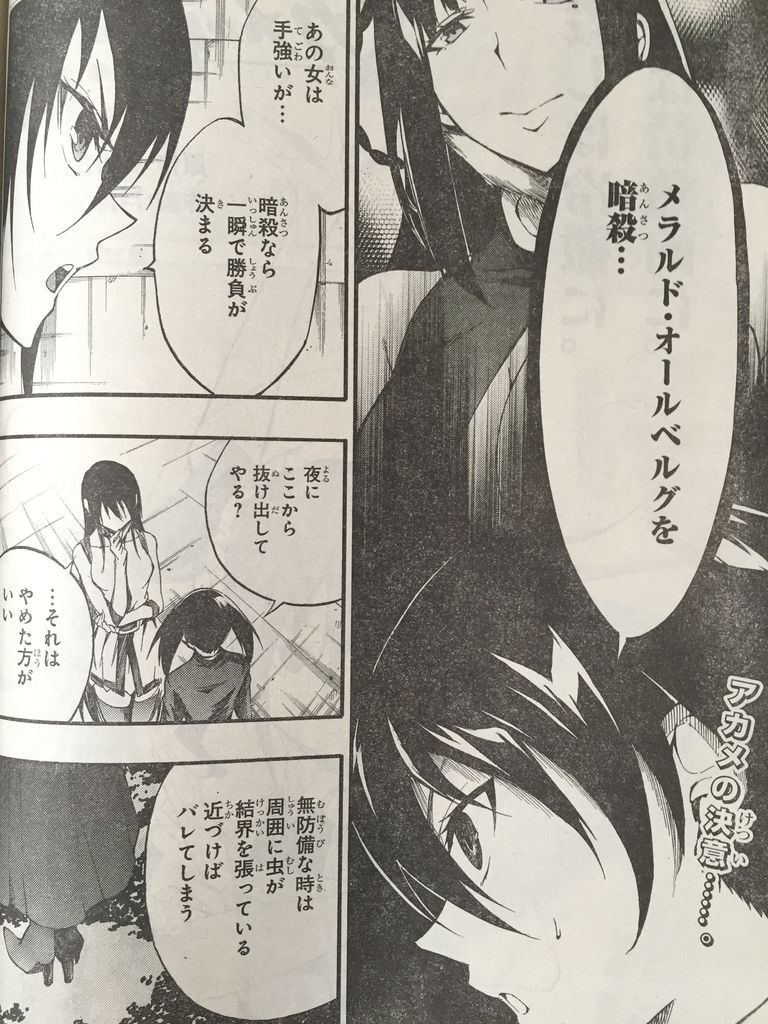 アカメが斬る 零第39話 ピカえもんの遊戯王blog アカメが斬る 零第39話 ピカえもんの遊戯王blog